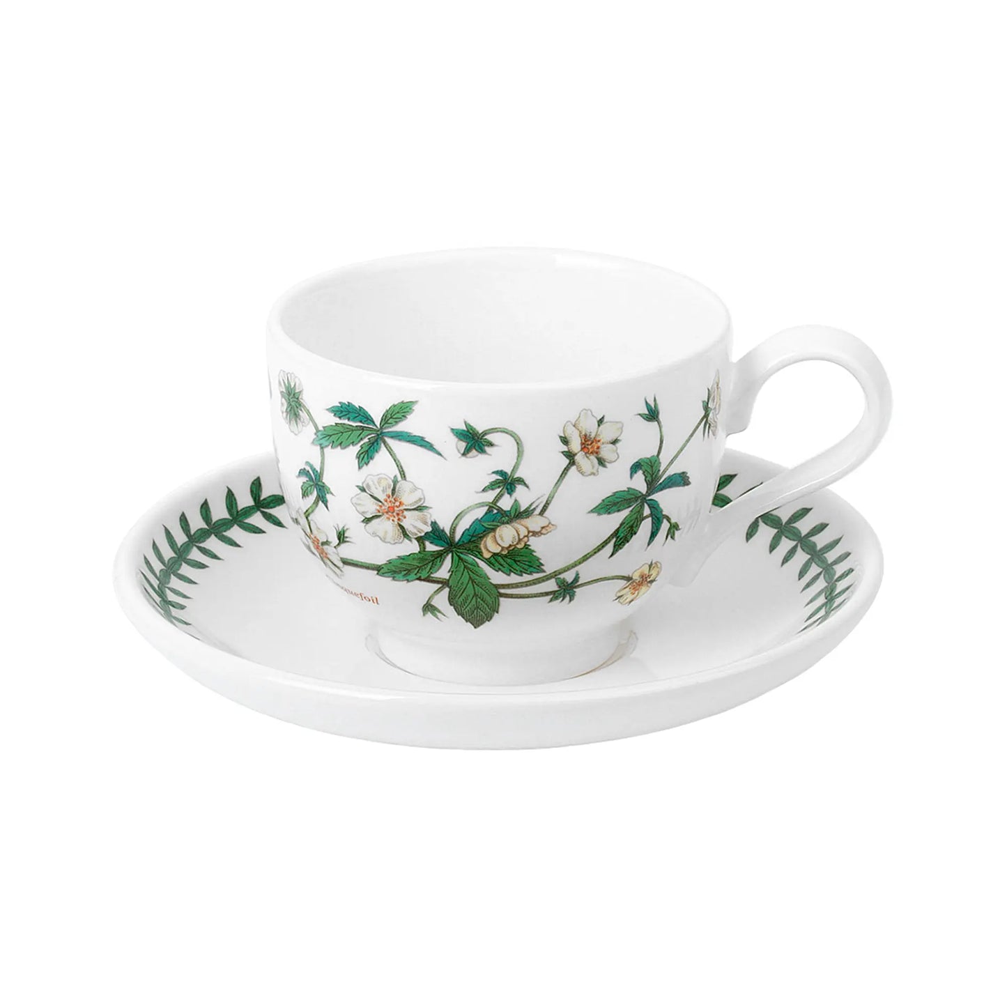 Botanic Garden Tea Cup & Saucer Set