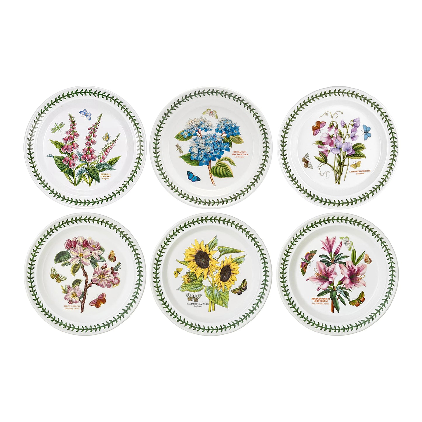 Botanic Garden Dinner Plate Set